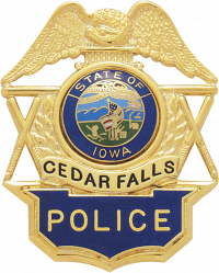 Hat Badge with Eagle reversed enamel title S110