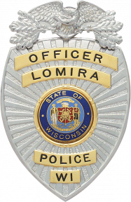 Eagle over shield badge S113