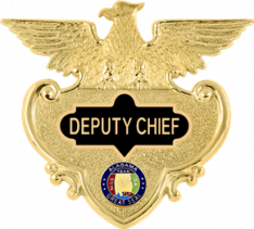 Eagle Topped w/reversed enamel panels S127_C624