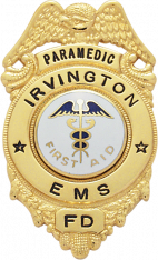 Eagle Topped Badge S142