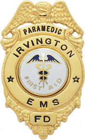 Eagle Topped Badge S142