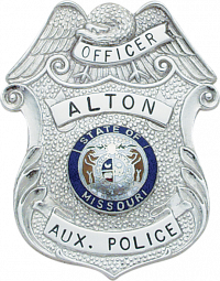 Eagle Topped Shield Type Badge S-148