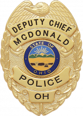 Badge Express Eagle Topped badge S155