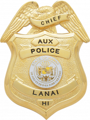 Eagle over shield badge S157