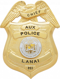 Eagle over shield badge S157