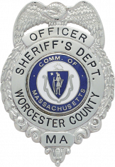 Eagle Topped Badge S163