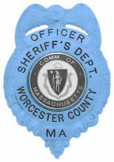 Eagle Topped Badge S163_BL