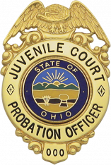 Eagle Topped Badge S164