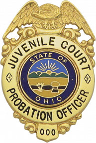 Eagle Topped Badge S164