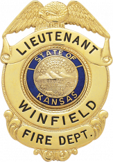 Eagle Topped Badge S169