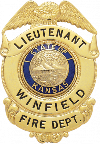 Eagle Topped Badge S169