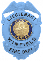 Blue Eagle Topped Badge S169_BL