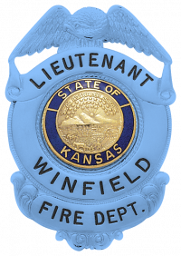 Blue Eagle Topped Badge S169_BL