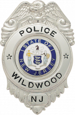 Eagle Topped Badge S189