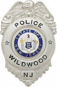 Eagle Topped Badge S189