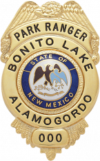 Eagle Topped Badge S195