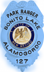 Eagle Topped Badge S195_BL