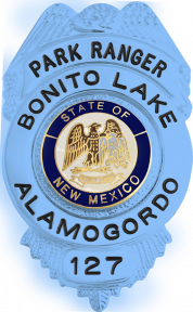 Eagle Topped Badge S195_BL