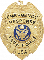 Eagle over shield badge S201