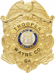 Eagle over shield badge S209