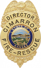 Eagle Topped Badge S211