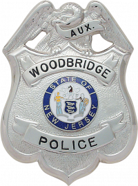 Eagle over shield Badge S222