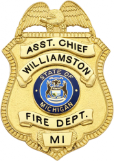 Eagle Topped Shield Badge S22