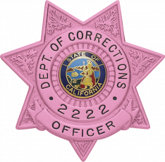 Pink Seven Point Star Badge S243-B