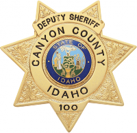 Badge Express Seven Point Star badge S266