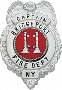 Eagle Topped Badge S268