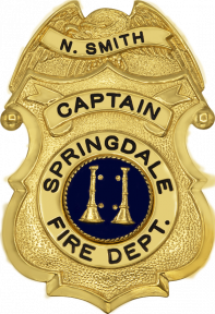 Eagle Topped Badge S274V