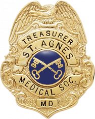 Eagle Topped Badge S277