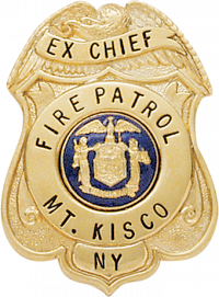 Eagle Topped Badge S278