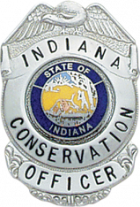 Eagle Topped Badge S288