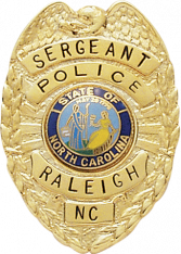 Eagle over shield badge S295