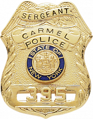 Eagle Topped Badge S-299