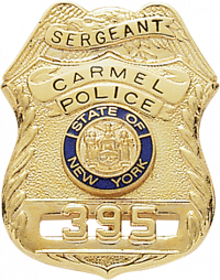 Eagle Topped Badge S-299