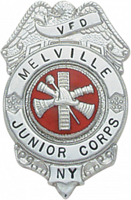 Eagle Topped Badge S300