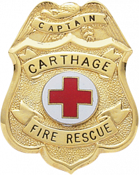 Eagle Topped Badge S309