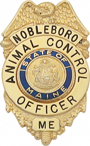 Eagle Topped Badge S311