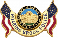 Shield badge with no eagle S503C