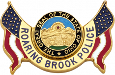 Shield badge with no eagle S503C