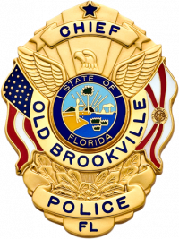 Eagle Topped Flag Draped Badge S-503FL