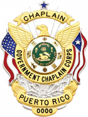 Eagle Topped Flag Draped Badge S-503PR