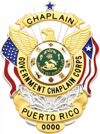 Eagle Topped Flag Draped Badge S-503PR