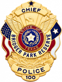 Eagle over shield badge S503TX