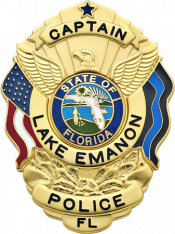 Eagle over shield badge S503_BL