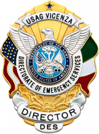 Eagle Topped Flag Draped Badge S503_Italy