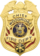 Eagle topped badge with flames S511A