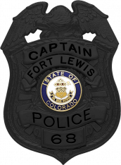 Matte Black Eagle Topped Shield Type Badge S522_MBK